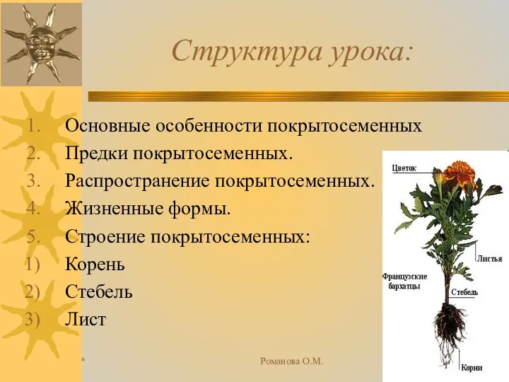 * Романова О.М. Структура урока: Основные особенности покрытосеменных Предки покрытосеменных. Распространение