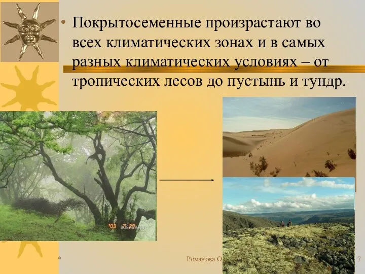 * Романова О.М. Покрытосеменные произрастают во всех климатических зонах и в