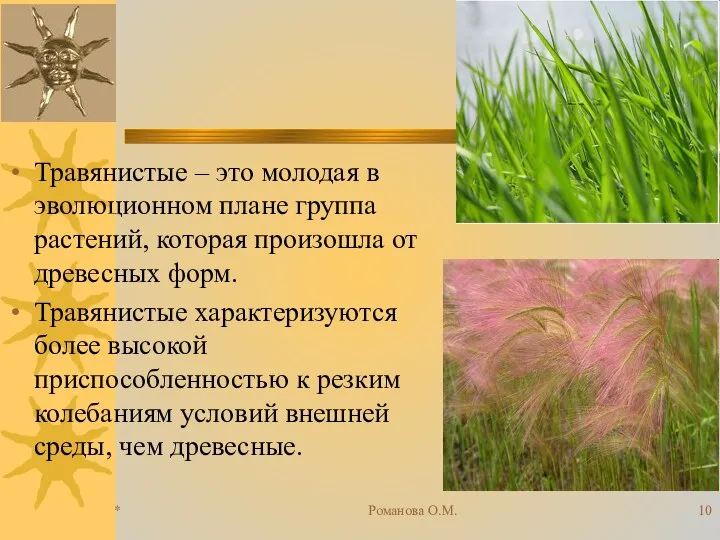 * Романова О.М. Травянистые – это молодая в эволюционном плане группа