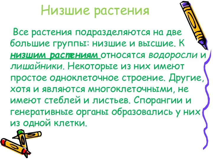 Низшие растения Все растения подразделяются на две большие группы: низшие и