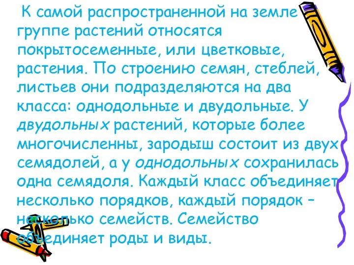 К самой распространенной на земле группе растений относятся покрытосеменные, или цветковые,