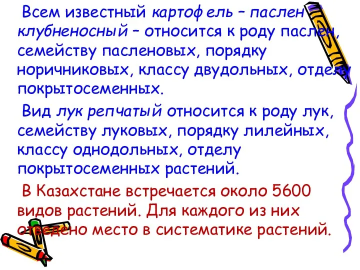 Всем известный картофель – паслен клубненосный – относится к роду паслен,