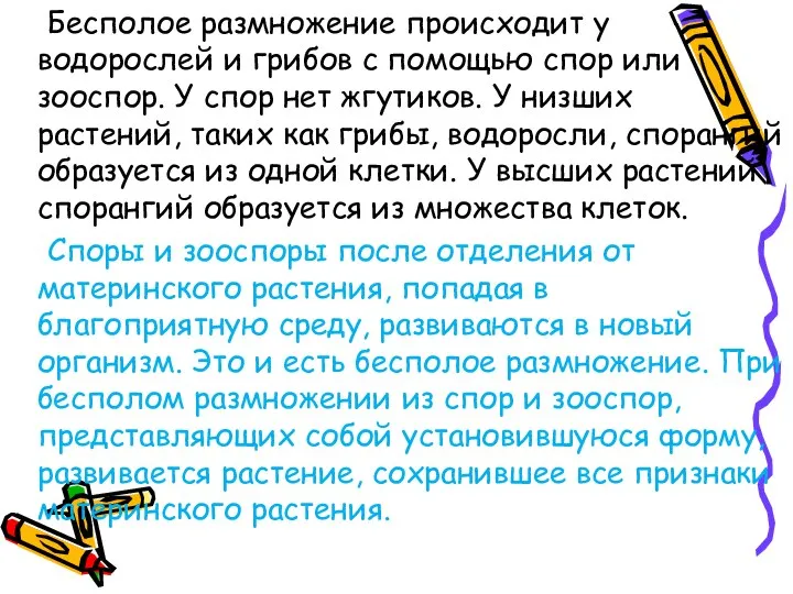 Бесполое размножение происходит у водорослей и грибов с помощью спор или