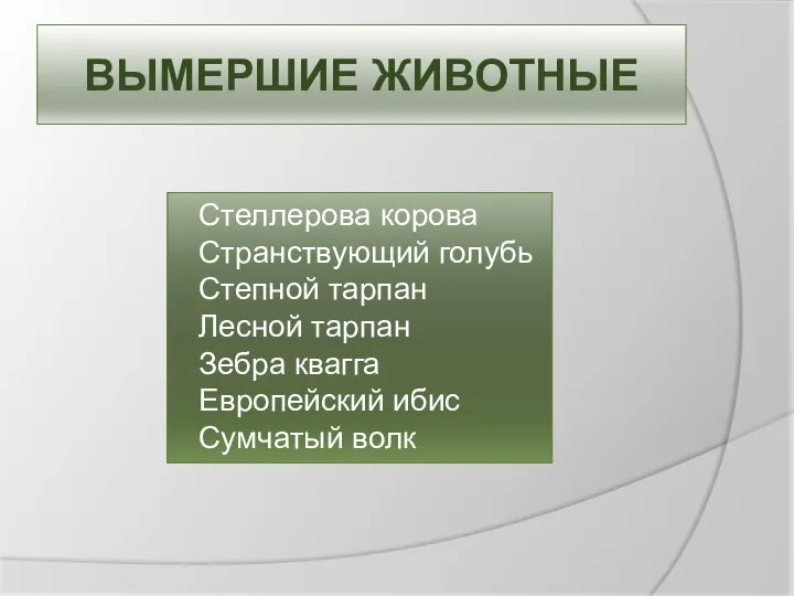 Вымершие животные Стеллерова корова Странствующий голубь Степной тарпан Лесной тарпан Зебра квагга Европейский ибис Сумчатый волк