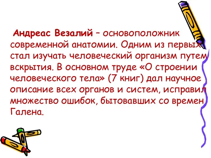 Андреас Везалий – основоположник современной анатомии. Одним из первых стал изучать