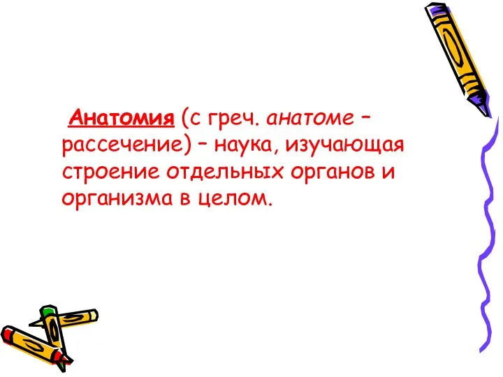 Анатомия (с греч. анатоме – рассечение) – наука, изучающая строение отдельных органов и организма в целом.