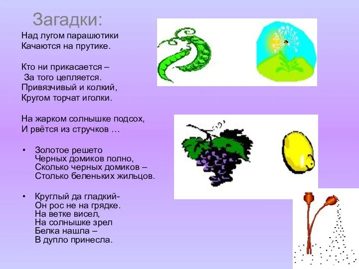 Загадки: Над лугом парашютики Качаются на прутике. Кто ни прикасается –