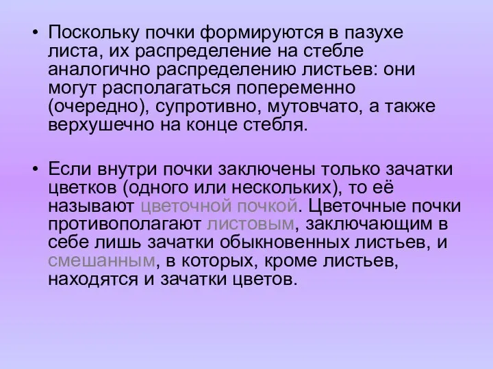 Поскольку почки формируются в пазухе листа, их распределение на стебле аналогично