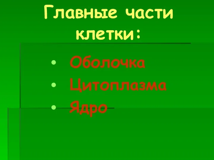 Главные части клетки: Оболочка Цитоплазма Ядро