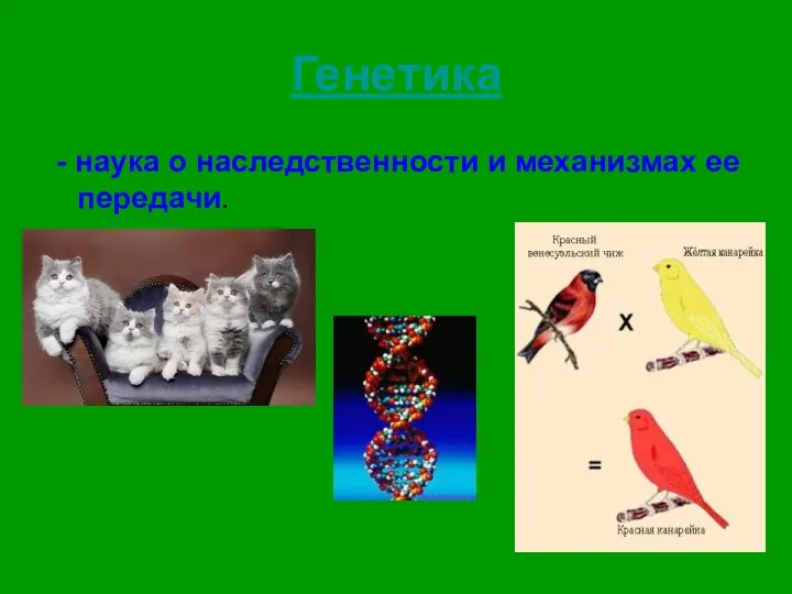 Генетика - наука о наследственности и механизмах ее передачи.