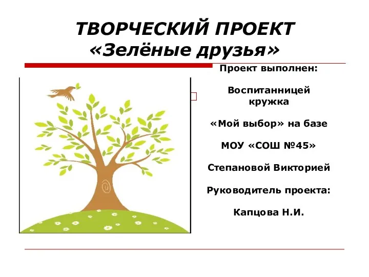 ТВОРЧЕСКИЙ ПРОЕКТ «Зелёные друзья» Проект выполнен: Воспитанницей кружка «Мой выбор» на