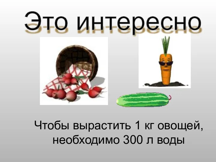 Чтобы вырастить 1 кг овощей, необходимо 300 л воды Это интересно