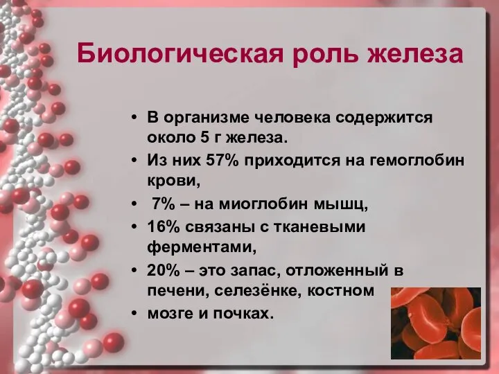 Биологическая роль железа В организме человека содержится около 5 г железа.