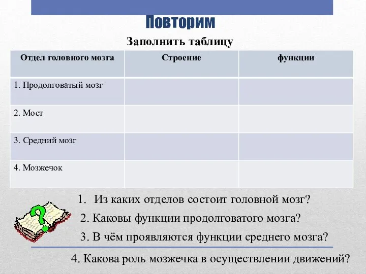 Повторим Из каких отделов состоит головной мозг? 2. Каковы функции продолговатого