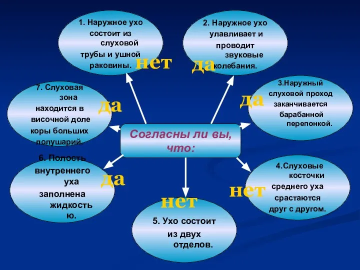 Согласны ли вы, что: 1. Наружное ухо состоит из слуховой трубы