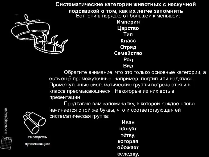 Систематические категории животных с нескучной подсказкой о том, как их легче