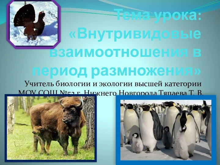 Тема урока: «Внутривидовые взаимоотношения в период размножения» Учитель биологии и экологии