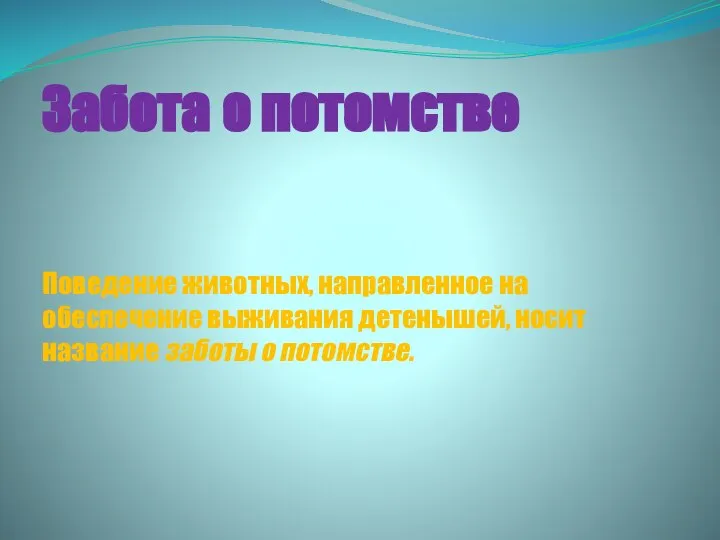 Забота о потомстве Поведение животных, направленное на обеспечение выживания детенышей, носит название заботы о потомстве.