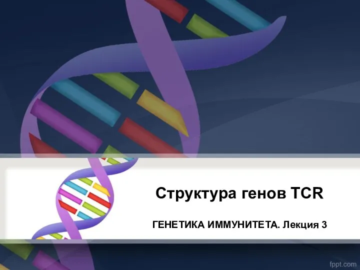Структура генов TCR ГЕНЕТИКА ИММУНИТЕТА. Лекция 3
