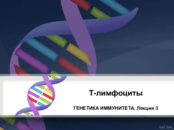 Т-лимфоциты ГЕНЕТИКА ИММУНИТЕТА. Лекция 3