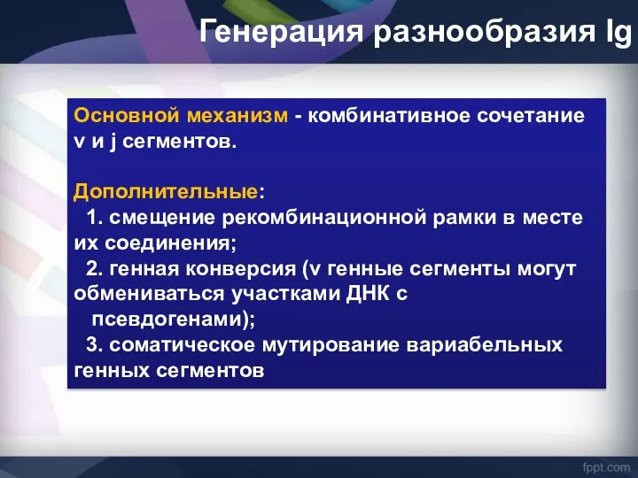 Генерация разнообразия Ig Основной механизм - комбинативное сочетание v и j