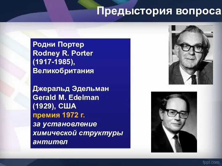 Предыстория вопроса Родни Портер Rodney R. Porter (1917-1985), Великобритания Джеральд Эдельман