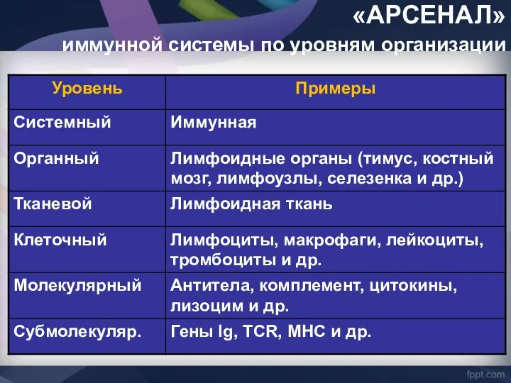 «АРСЕНАЛ» иммунной системы по уровням организации