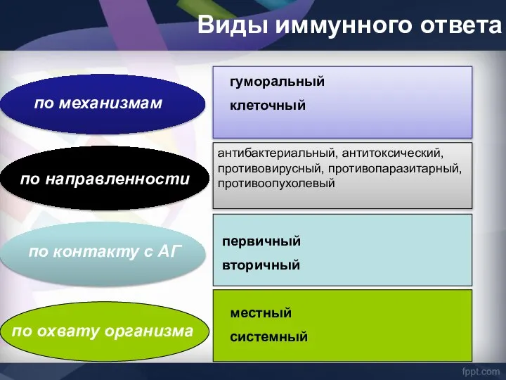 Виды иммунного ответа по механизмам по направленности по контакту с АГ