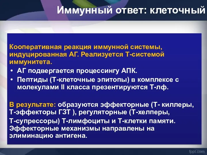 Иммунный ответ: клеточный Кооперативная реакция иммунной системы, индуцированная АГ. Реализуется Т-системой