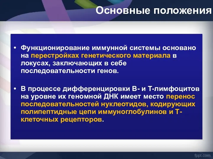 Основные положения Функционирование иммунной системы основано на перестройках генетического материала в