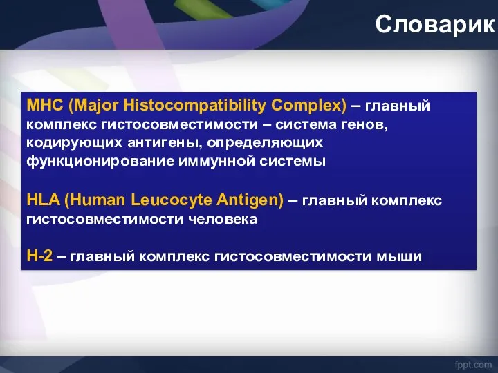 Словарик МНС (Major Histocompatibility Complex) – главный комплекс гистосовместимости – система