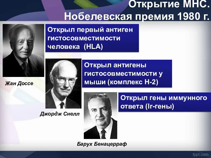 Открытие МНС. Нобелевская премия 1980 г. Жан Доссе Открыл первый антиген