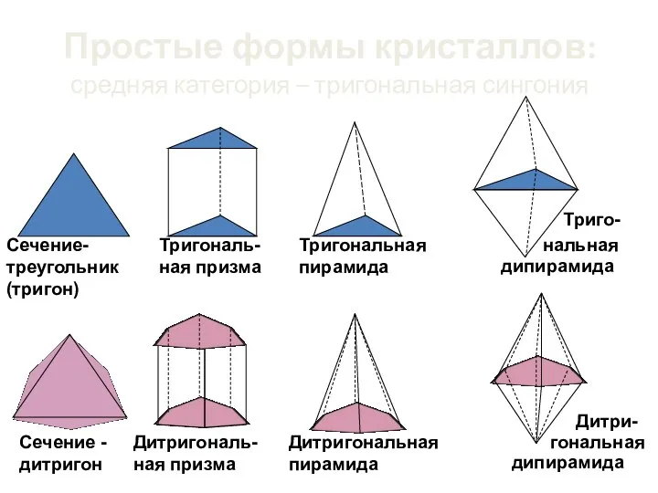 Простые формы кристаллов: средняя категория – тригональная сингония Сечение-треугольник (тригон) Тригональ-ная