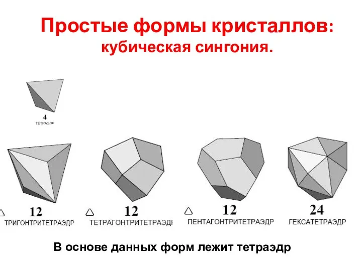 Простые формы кристаллов: кубическая сингония. В основе данных форм лежит тетраэдр