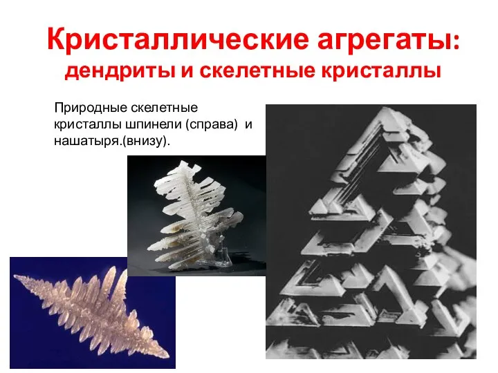 Кристаллические агрегаты: дендриты и скелетные кристаллы Природные скелетные кристаллы шпинели (справа) и нашатыря.(внизу).