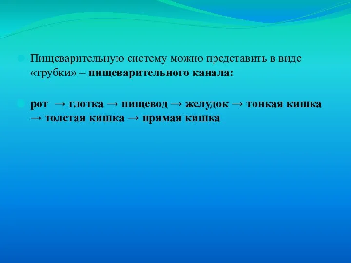 Пищеварительную систему можно представить в виде «трубки» – пищеварительного канала: рот