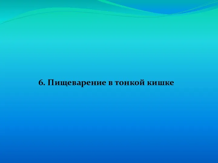 6. Пищеварение в тонкой кишке