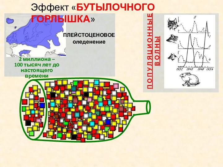 ПЛЕЙСТОЦЕНОВОЕ оледенение 2 миллиона – 100 тысяч лет до настоящего времени