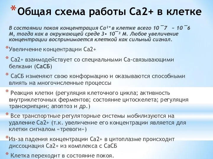 Общая схема работы Са2+ в клетке В состоянии покоя концентрация Са²⁺