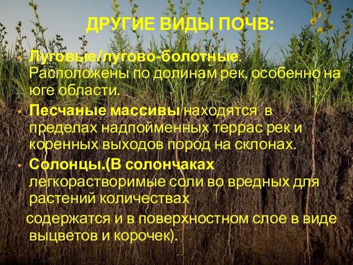 Другие виды почв: Луговые/лугово-болотные. Расположены по долинам рек, особенно на юге