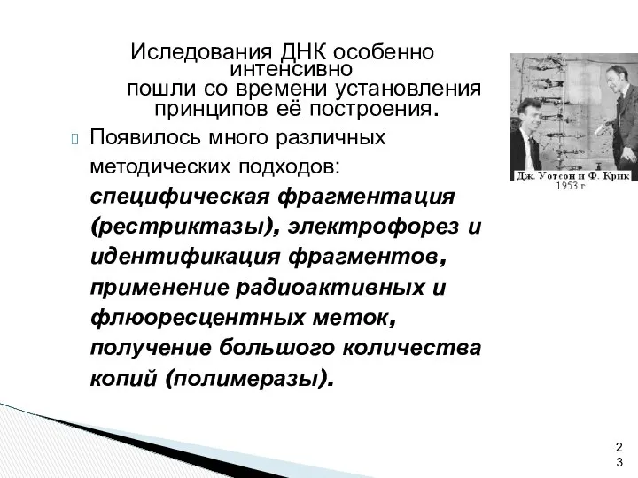 Иследования ДНК особенно интенсивно пошли со времени установления принципов её построения.