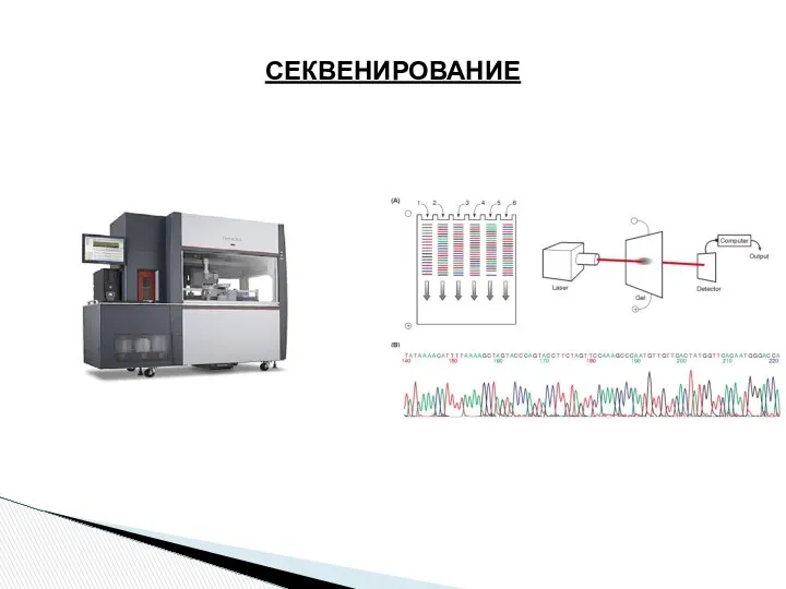 СЕКВЕНИРОВАНИЕ