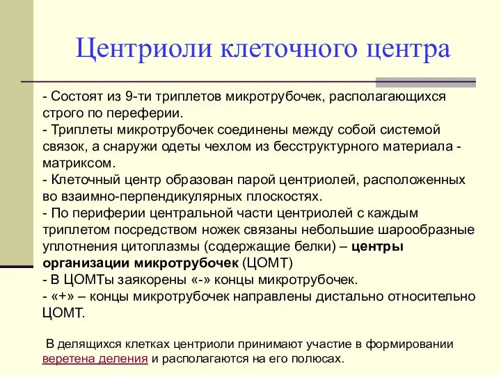 Центриоли клеточного центра - Состоят из 9-ти триплетов микротрубочек, располагающихся строго