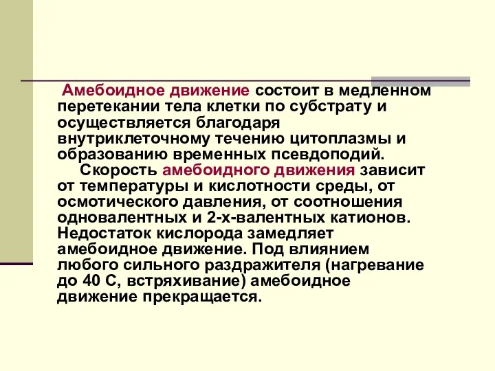 Амебоидное движение состоит в медленном перетекании тела клетки по субстрату и