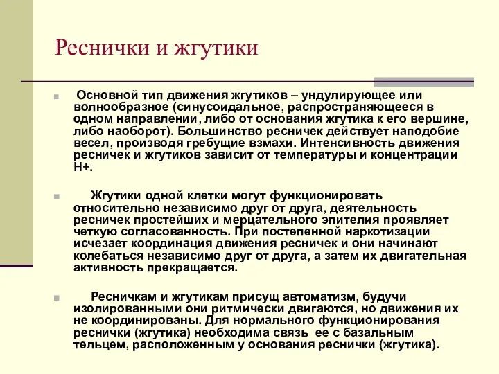 Реснички и жгутики Основной тип движения жгутиков – ундулирующее или волнообразное