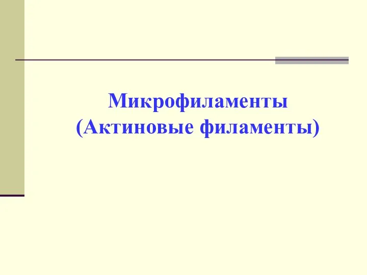 Микрофиламенты (Актиновые филаменты)