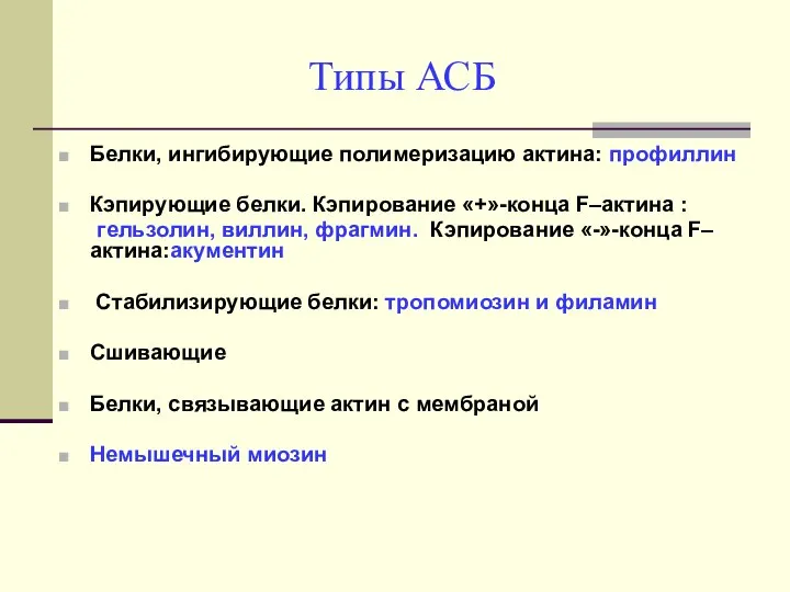 Типы АСБ Белки, ингибирующие полимеризацию актина: профиллин Кэпирующие белки. Кэпирование «+»-конца