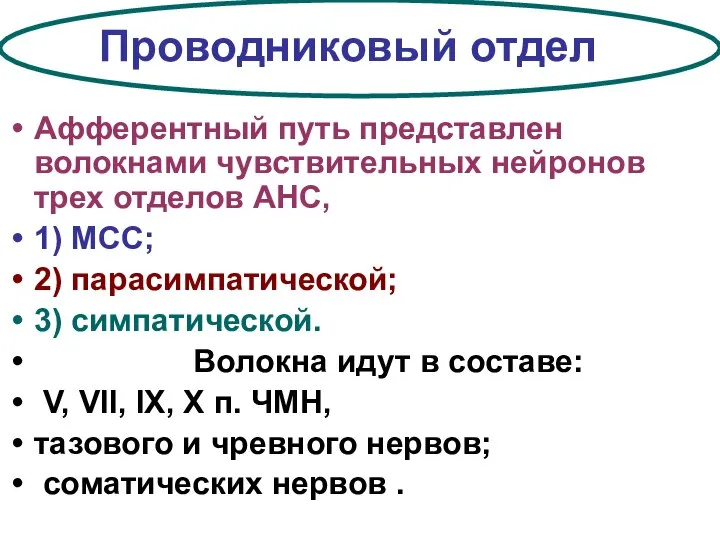 Проводниковый отдел Афферентный путь представлен волокнами чувствительных нейронов трех отделов АНС,