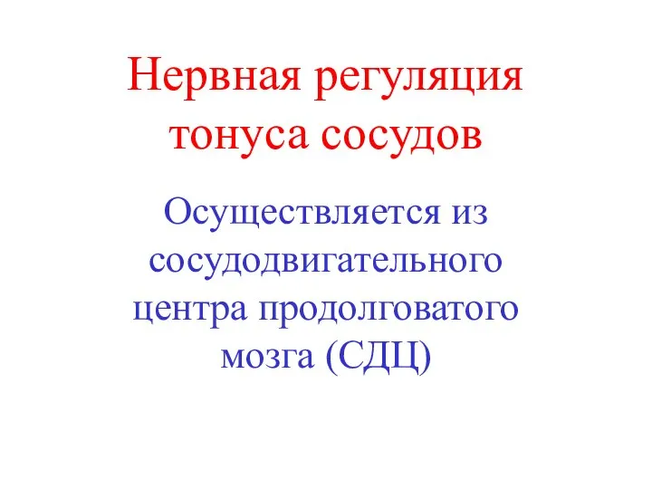 Нервная регуляция тонуса сосудов Осуществляется из сосудодвигательного центра продолговатого мозга (СДЦ)