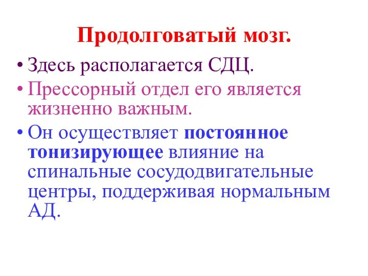 Продолговатый мозг. Здесь располагается СДЦ. Прессорный отдел его является жизненно важным.